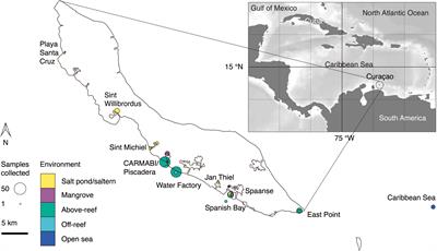 Eukaryotic algal community composition in tropical environments from solar salterns to the open sea